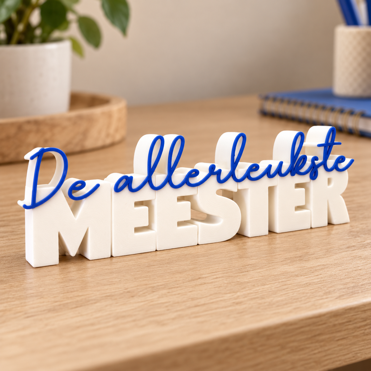 De allerleukste meester woordbeeld
