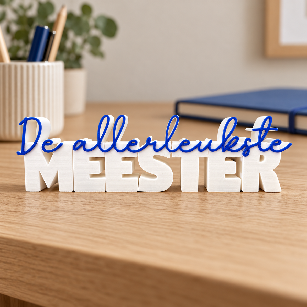 De allerleukste meester woordbeeld